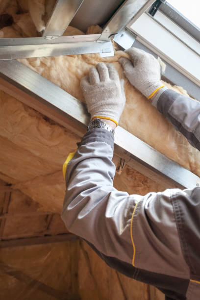 Best Insulation for New Construction  in Silver Lake, NJ